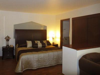 Roma In Downtown 4* Guadalajara